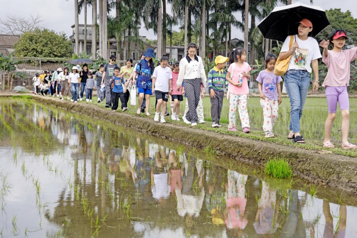 亲子家庭游走在田埂之上