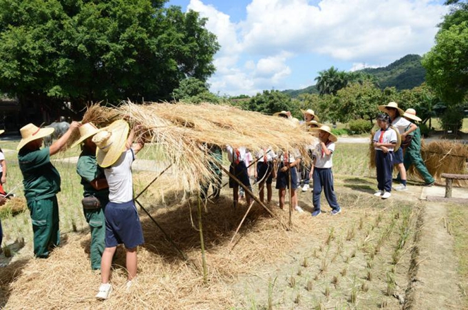 Students from Cuiheng Primary School learned to build thatched huts.