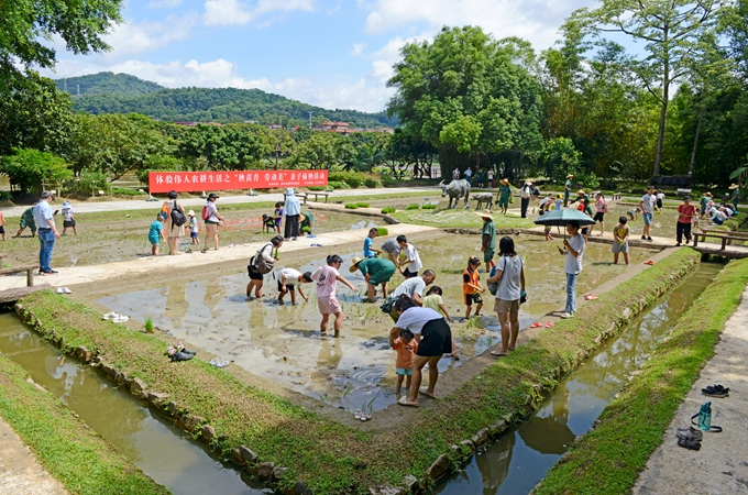 The museum narrator told the history of agricultural development with traditional farming tools.